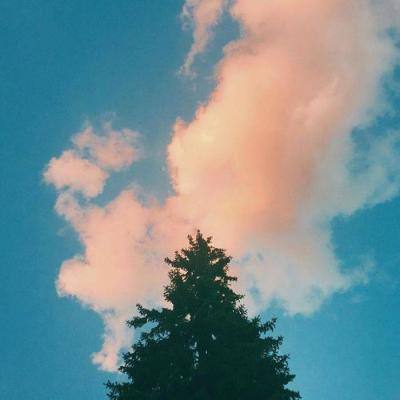 星空体育appapp下载