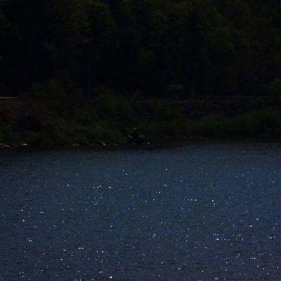 365在线下载手机版