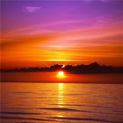 ManBetX纯净版截图