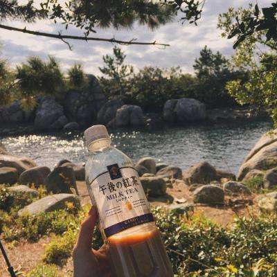 246天天好彩app下载