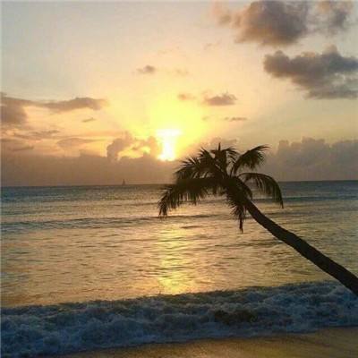 凤凰彩票APP下载