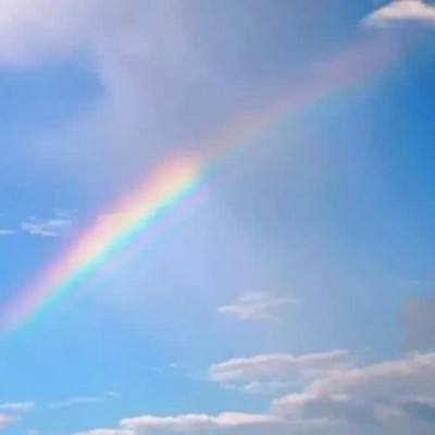 亚新下载手机版截图