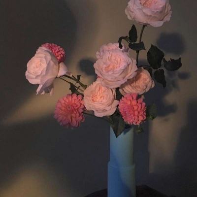 金沙集团186cc成色官方版下载