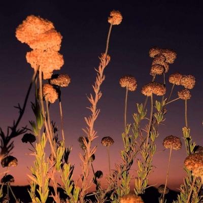 皇冠新体育APP下载手机版