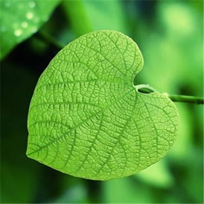 赢三张免费游戏手机app下载