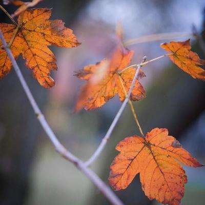 亚新下载手机版截图